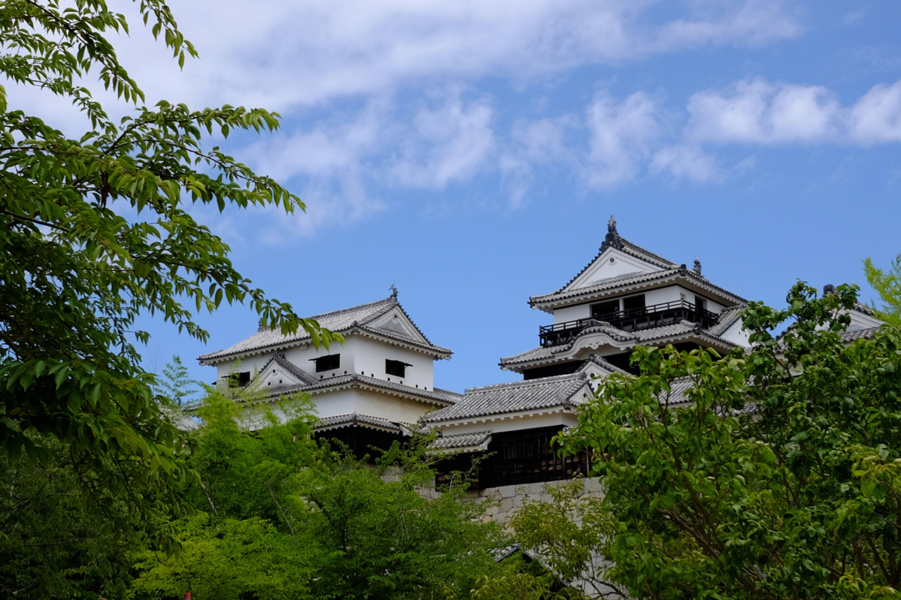 愛媛県の松山城の風景写真