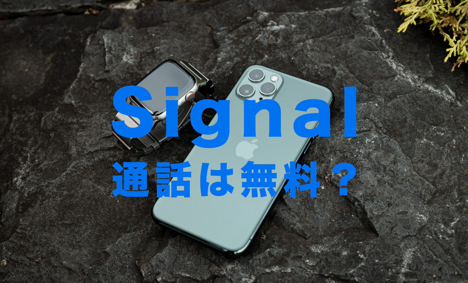 Signal(シグナル)の通話料やビデオ通話は無料？【メッセージアプリ】のサムネイル画像