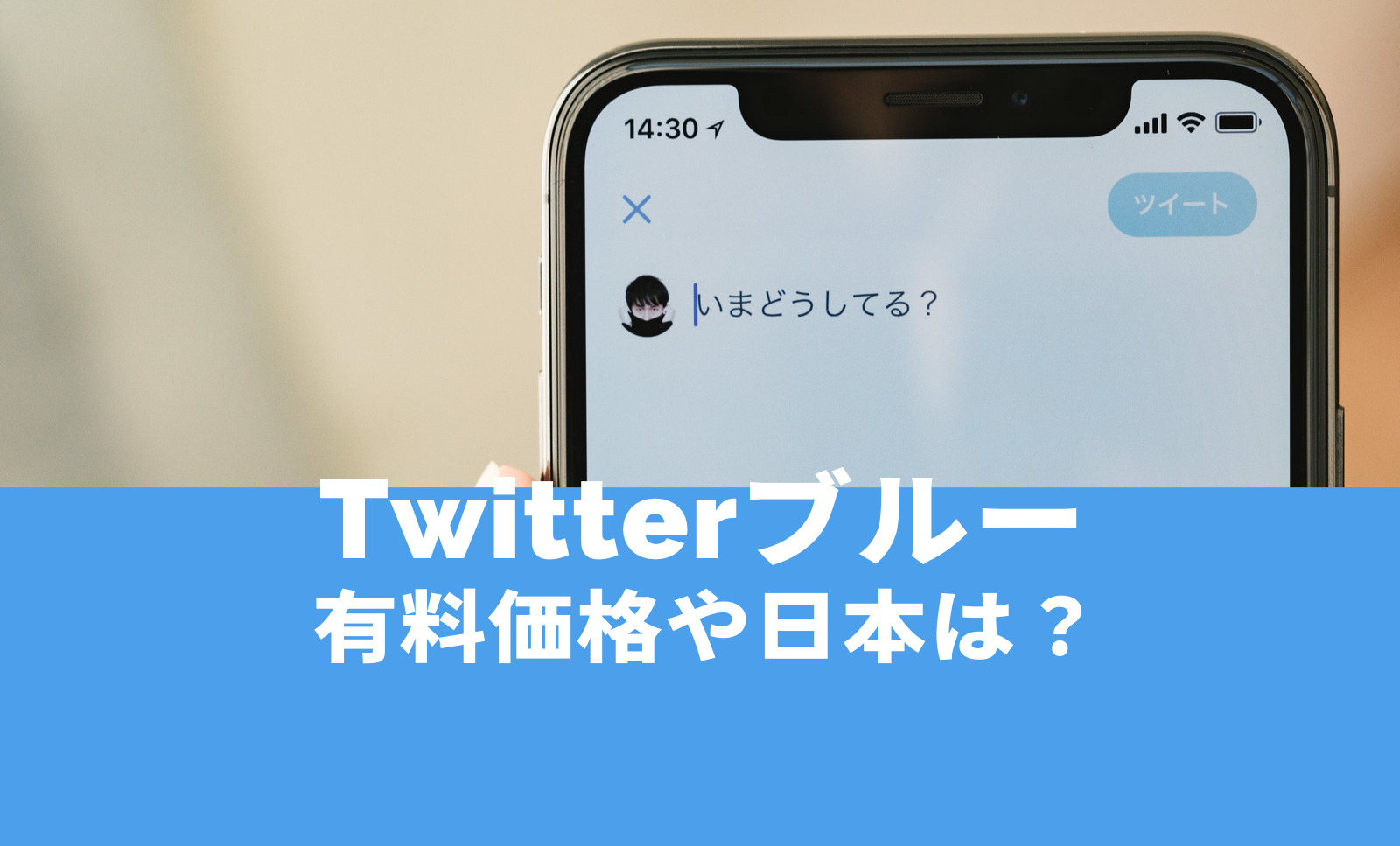 Twitter Blue(ツイッターブルー)とは何？日本の料金や値段はいくら？【2023年1月最新】のサムネイル画像
