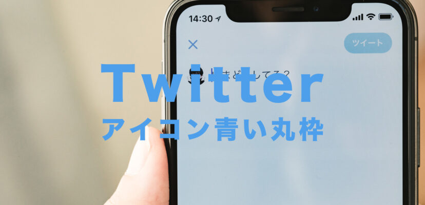 Twitterのアイコンの周りの青い丸枠の意味はなに フリート機能 ツイッター