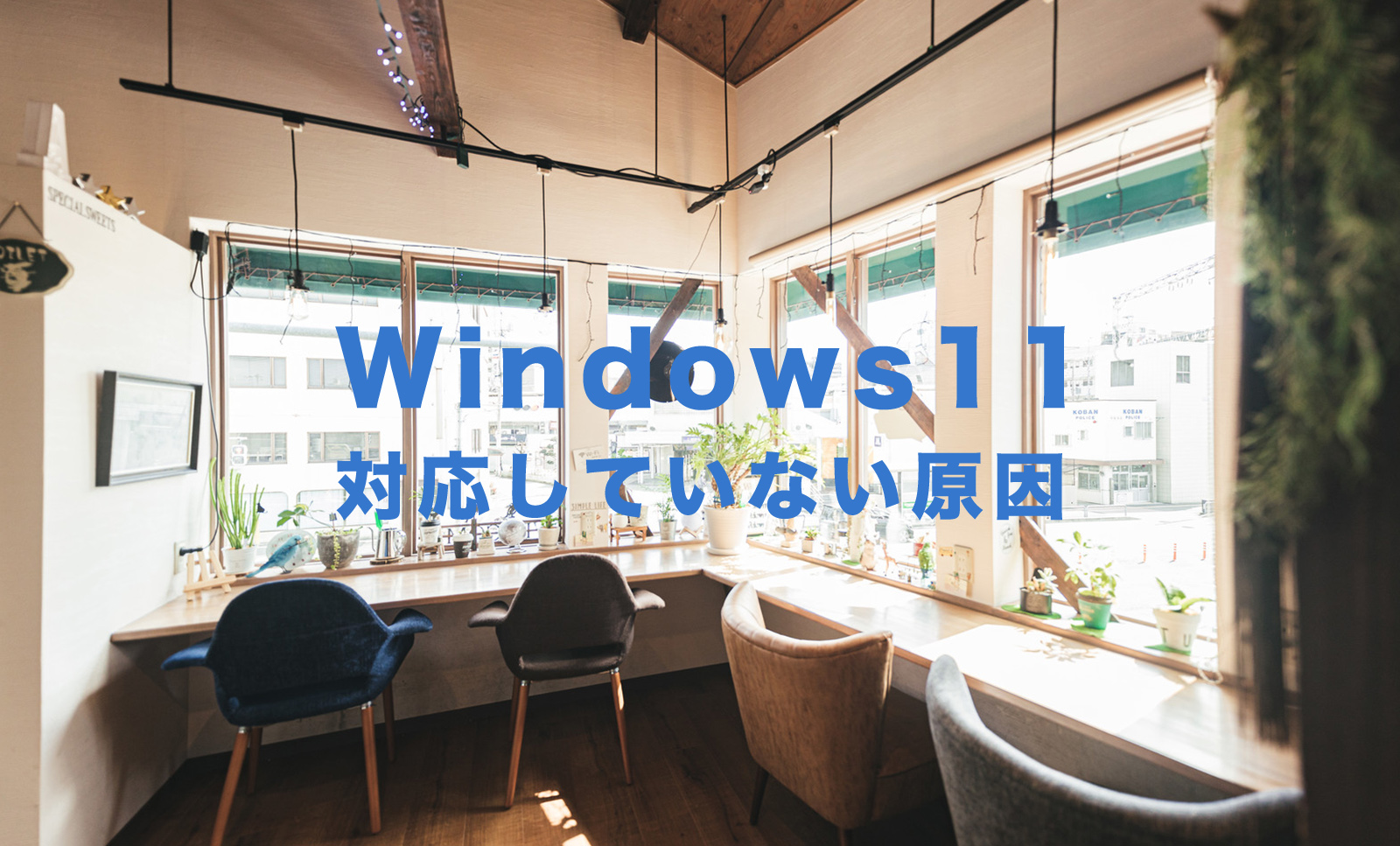 「WhyNotWin11」Windows11に対応していない原因や理由がわかるツールの使い方を解説！のサムネイル画像