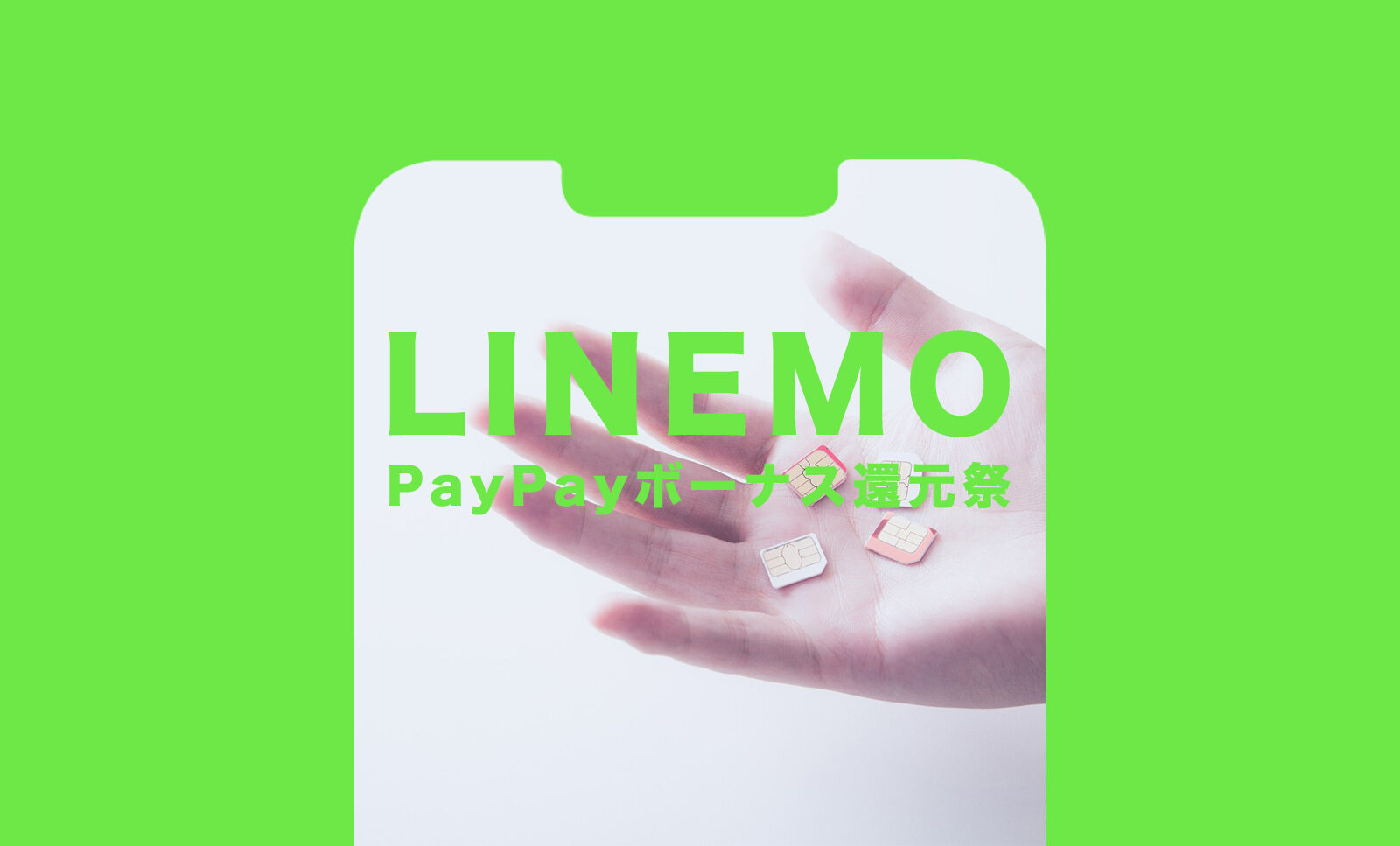 LINEMO(ラインモ)でPayPayボーナス還元祭で途中でミニプランに変更したらどうなる？のサムネイル画像