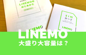 LINEMO(ラインモ)に大盛り&大容量な100ギガのプランはある？