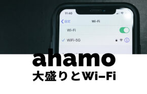 ahamo(アハモ)大盛りとWi-Fiとの違いは何？